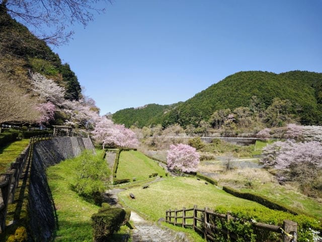 ゴルフ会員権名義変更の重要性とメリット