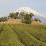 ゴルフ会員権で広がるライフスタイルの魅力